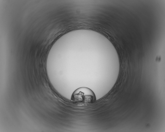 X0000115530084200911061137