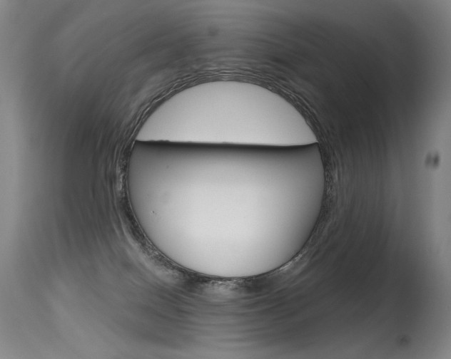 X0000115530086200911061137