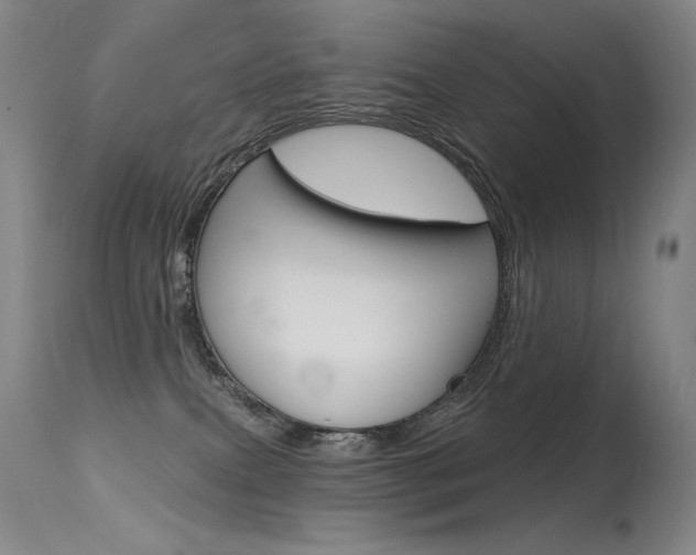 X0000115530087200911061137