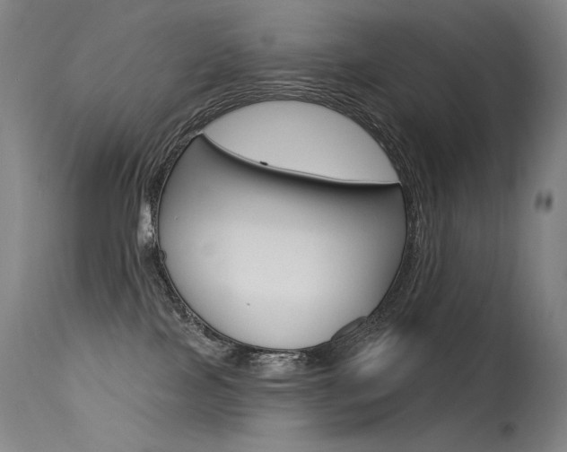 X0000115530089200911061137