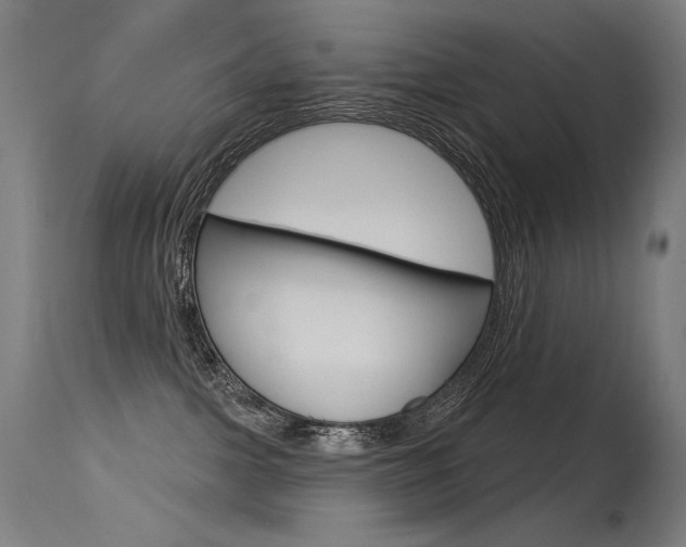 X0000115530091200911061137