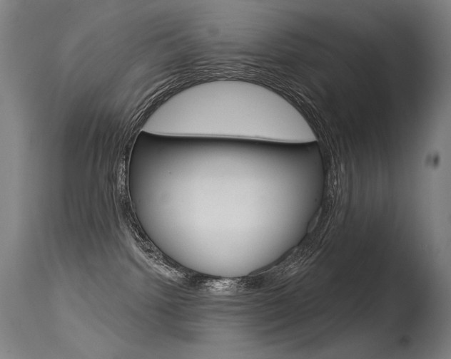 X0000115530092200911061137