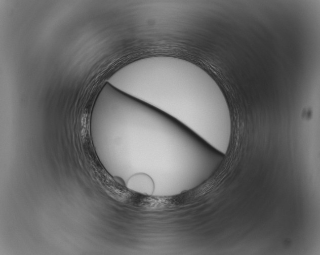 X0000115530093200911061137