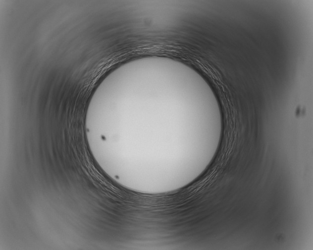 X0000115530096200911061137