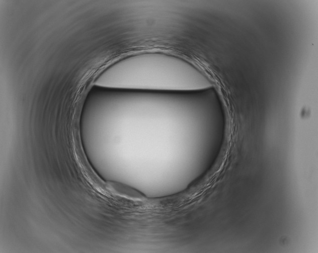 X0000115530097200911061136