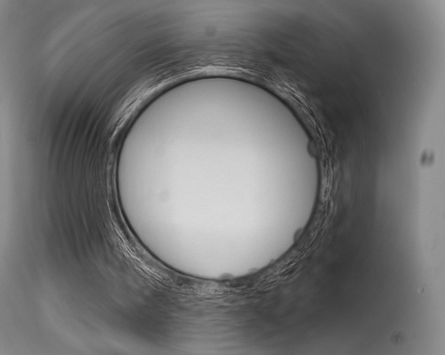 X0000115530098200911061136