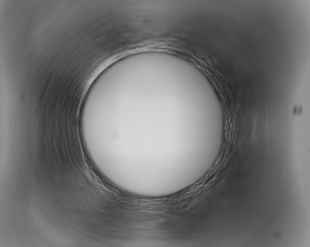 X0000115530100200911061136