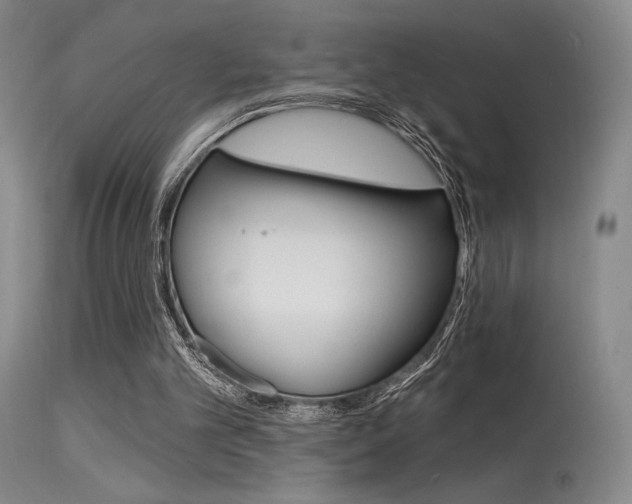 X0000115530101200911061136