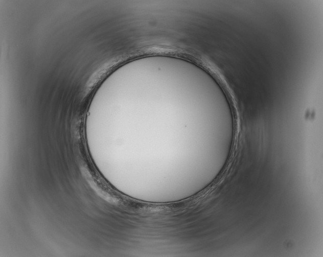 X0000115530106200911061136