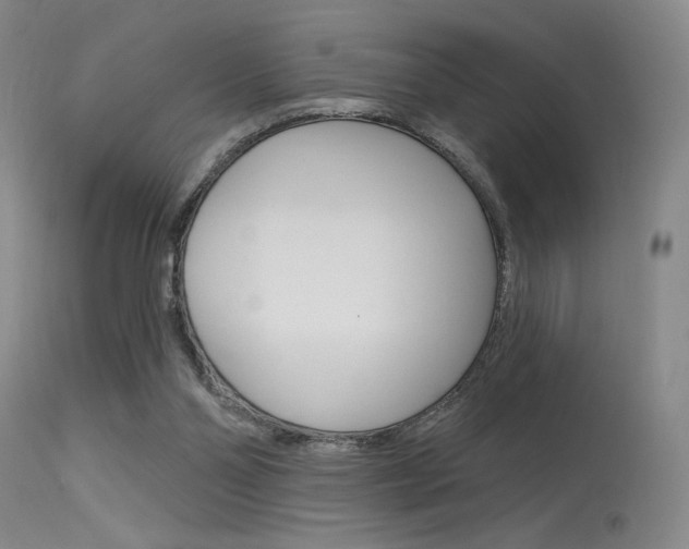 X0000115530110200911061136