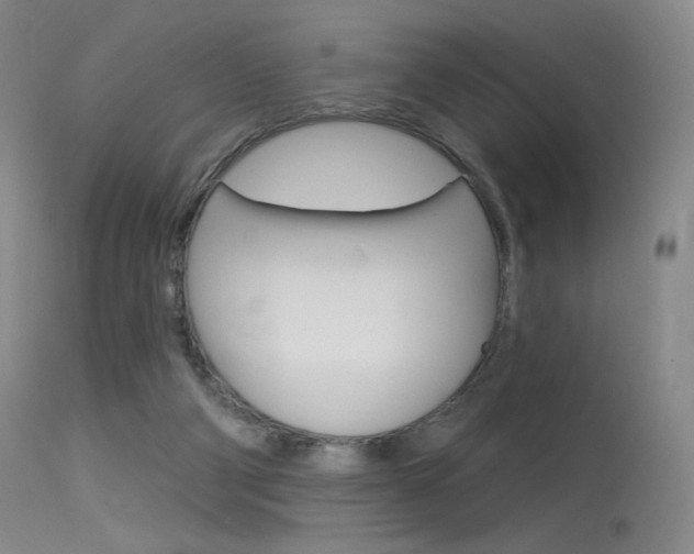X0000115530114200911061136
