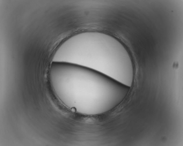 X0000115530115200911061136
