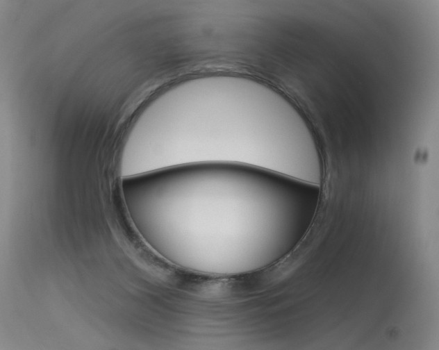 X0000115530116200911061136