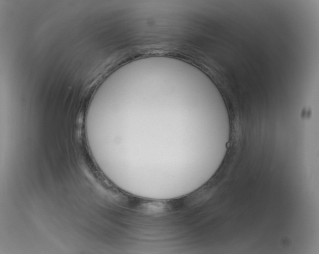 X0000115530118200911061136