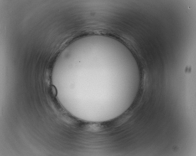 X0000115530121200911061136