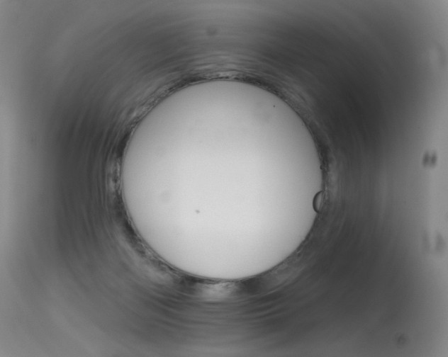 X0000115530122200911061136