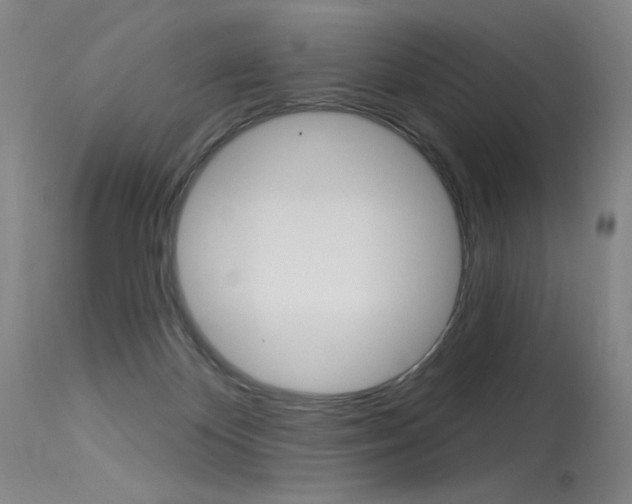 X0000115530124200911061136