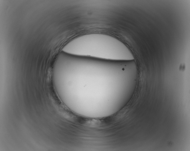 X0000115530125200911061136