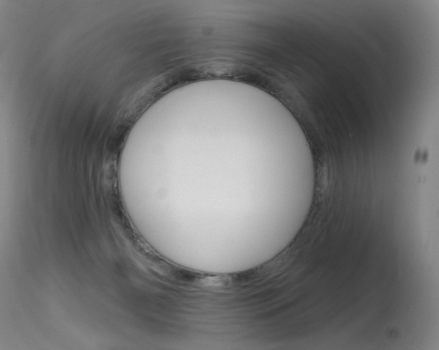 X0000115530126200911061136