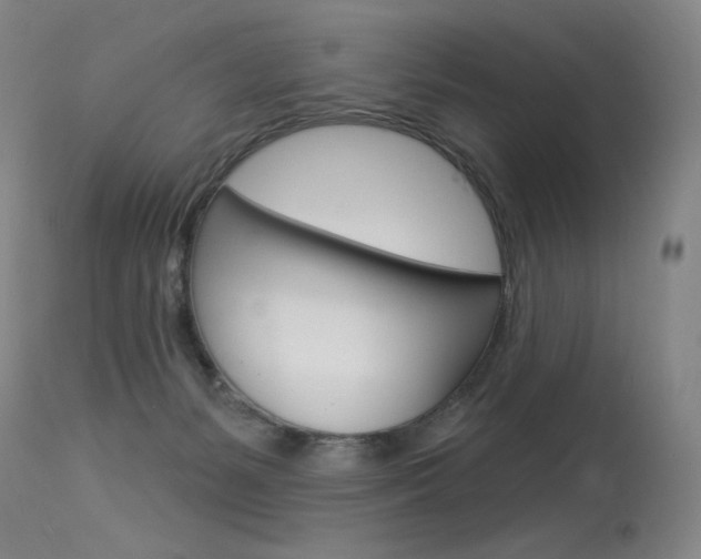 X0000115530127200911061136