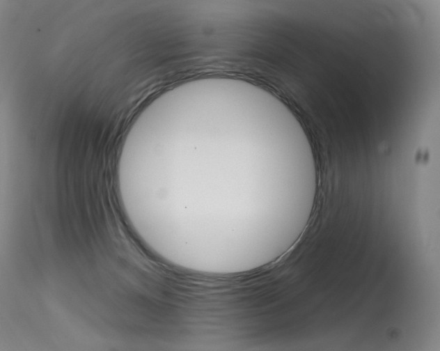 X0000115530128200911061136
