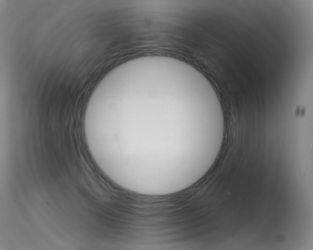 X0000115530129200911061136