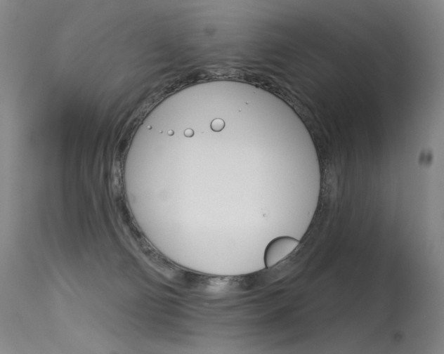 X0000115530130200911061136