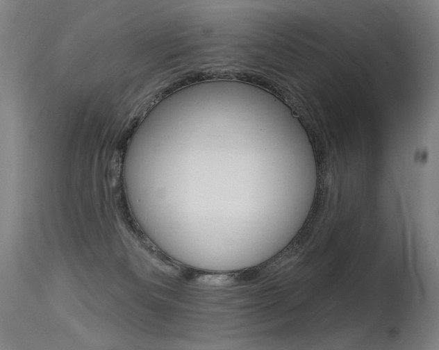 X0000115530133200911061136