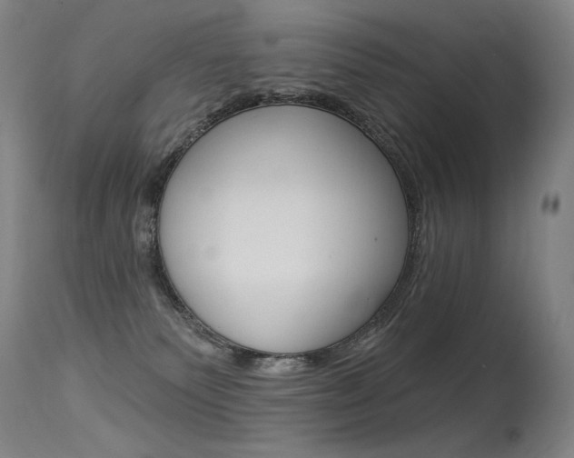 X0000115530135200911061136