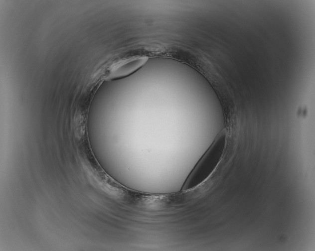 X0000115530136200911061136