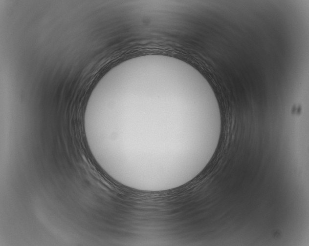 X0000115530137200911061136