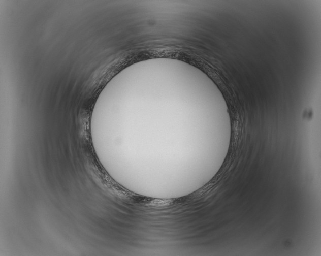 X0000115530138200911061136