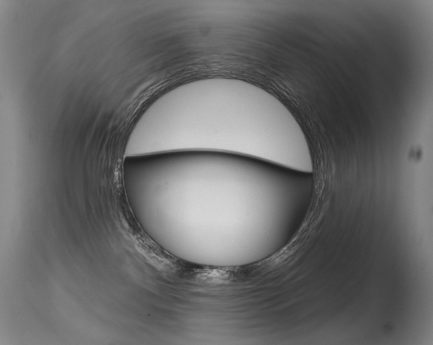 X0000115530140200911061136