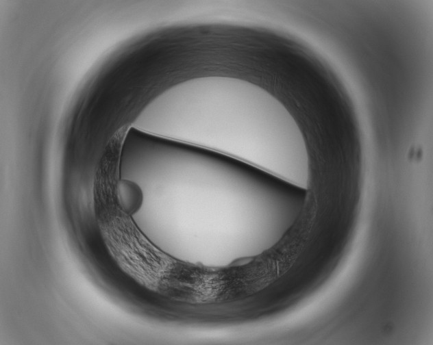 X0000115530143200911061136