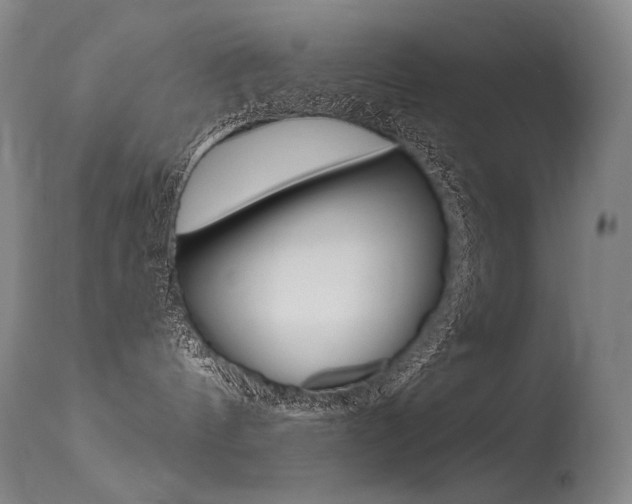 X0000115530144200911061136