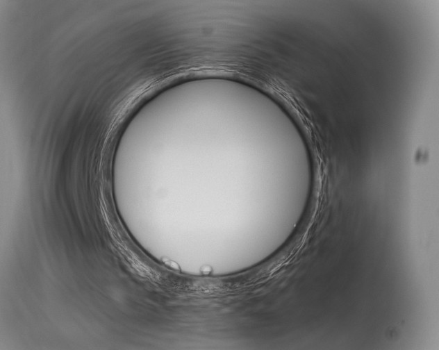 X0000115530145200911061135