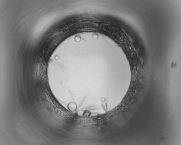 X0000115530146200911061135