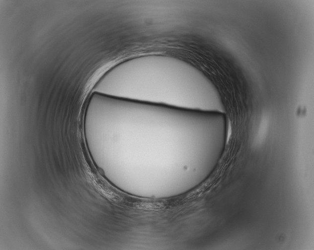X0000115530147200911061135
