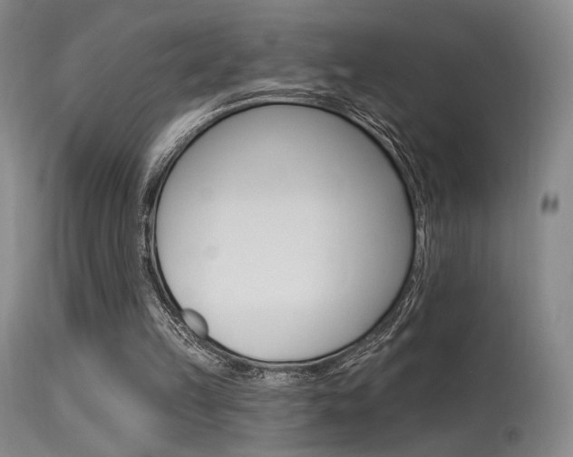 X0000115530149200911061135