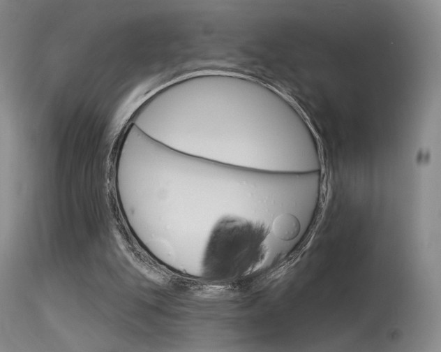 X0000115530151200911061135