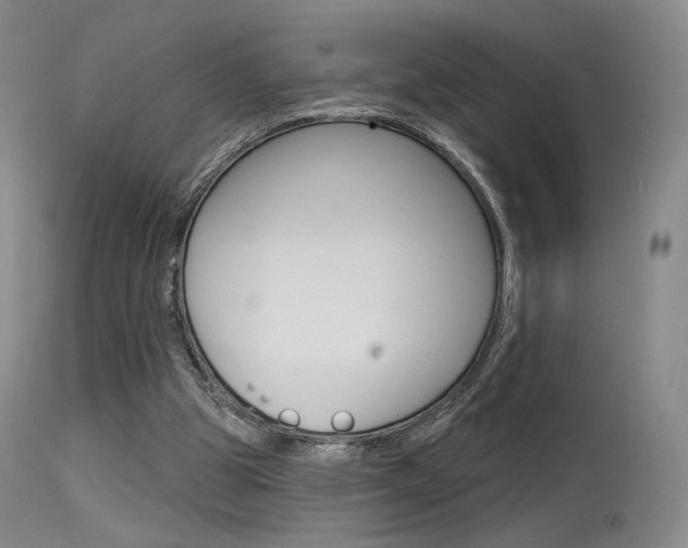 X0000115530153200911061135