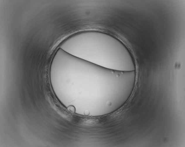X0000115530155200911061135