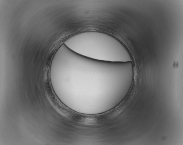 X0000115530157200911061135