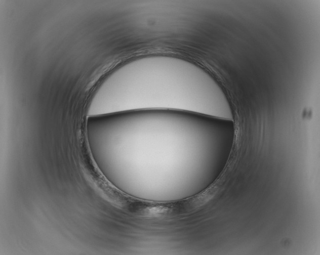 X0000115530158200911061135