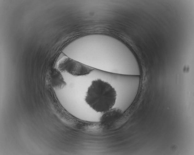 X0000115530161200911061135