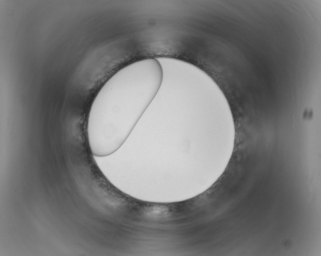 X0000115530162200911061135