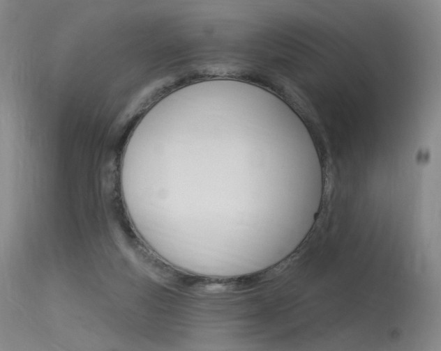 X0000115530163200911061135
