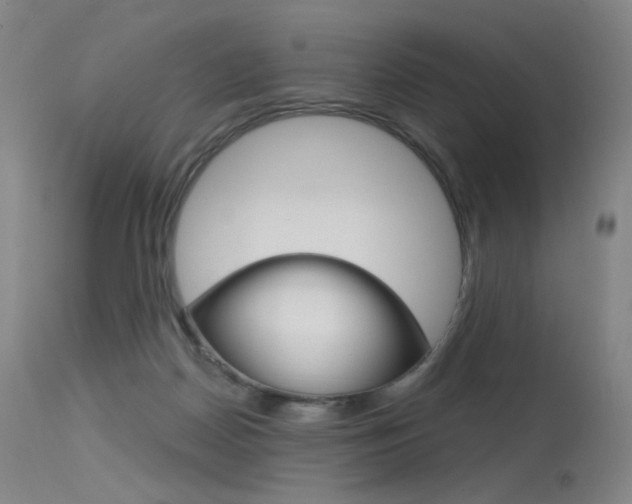 X0000115530170200911061135