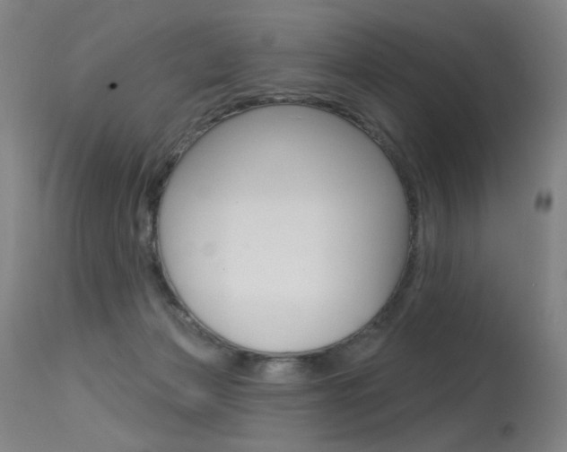 X0000115530173200911061135