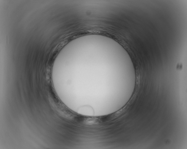 X0000115530175200911061135
